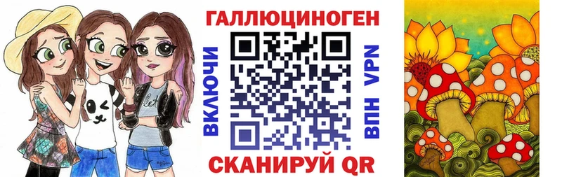 Галлюциногенные грибы Psilocybe Нелидово